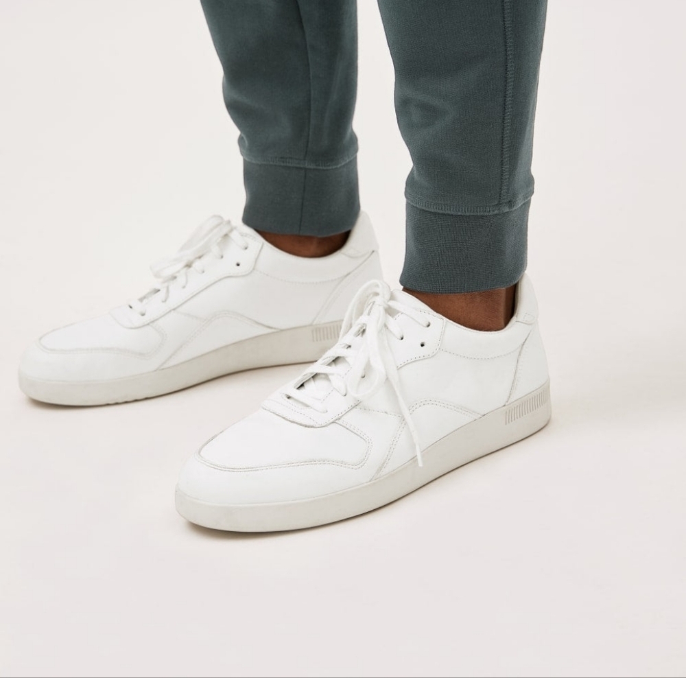 Brand New Everlane Sneakers